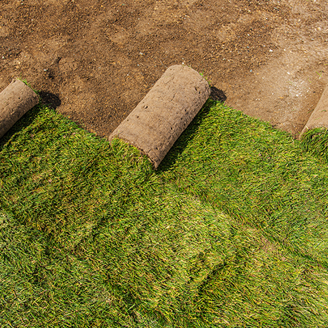 Rasenverlegung Wien – Göksen Gartenservice