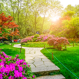 Gartengestaltung – Göksen Gartenservice