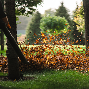 Gartenpflege – Göksen Gartenservice