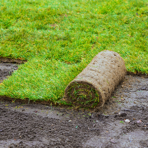Rasenverlegung & Pflege – Göksen Gartenservice