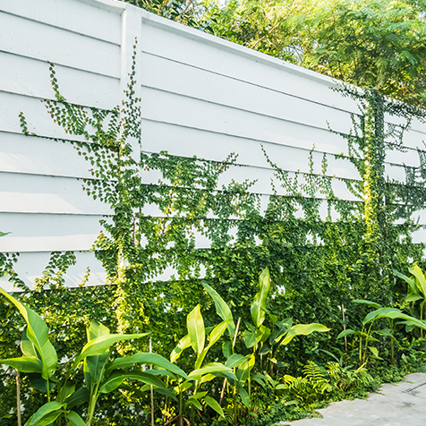 Zaun & Sichtschutz Wien – Göksen Gartenservice